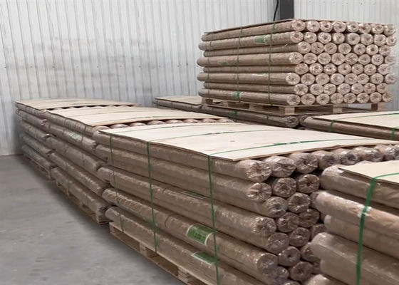 Galvanized 8 Gauge 10 Gauge 25mm*25mm Hot Dipping Welded Wire Mesh