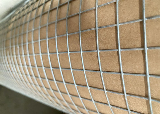 Galvanized Welded Iron Wire Mesh With Welded Weaving Type Wire Diameter 0.5mm 0.9mm