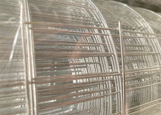Customised 1 Inch Galvanized Welded Wire Mesh 120g/M2 Zinc Coating