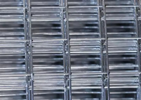 0.25 Inch Hot Dipped Welded Wire Mesh 1/4 Inch Hardware Cloth Anti Corrosion