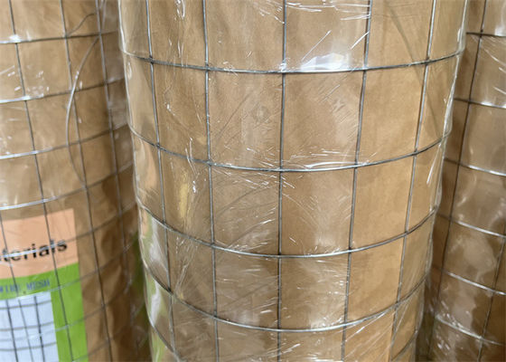 2"X2" Galvanized Welded Wire Mesh 25m Roll