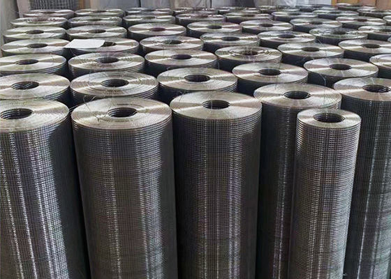 Hot Dipped Galvanized Welded Wire Mesh Mesh Size 1/4"X1/4" Width 0.5m 2m With Good Reputation