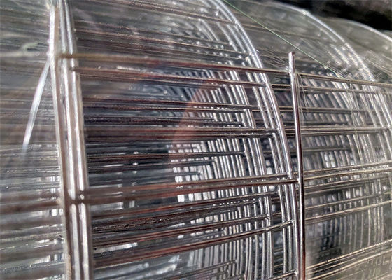 1"X1/2" Galvanized Iron Welded Wire Mesh With Alkali Resistance