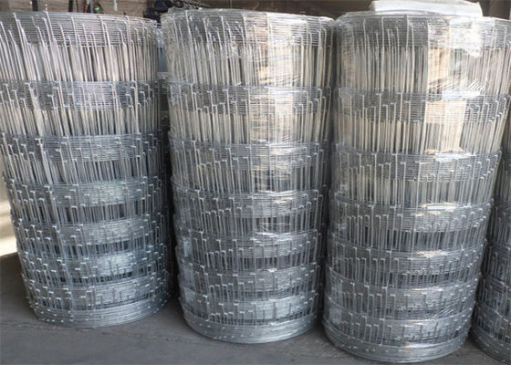 Galvanized Iron Wire Farm Mesh Fence Silver Color With Hot Dipped Zinc Coating For Easy Installation