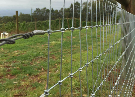 Heavy Duty Galvanized Horse Mesh Fence 3ft-8ft Height S Knot Corrosion Resistance