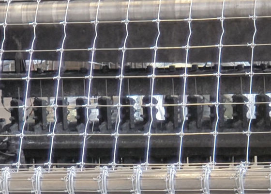 Galvanized Grassland Wire Fence Cattle / Sheep / Field / Deer Farm Fence