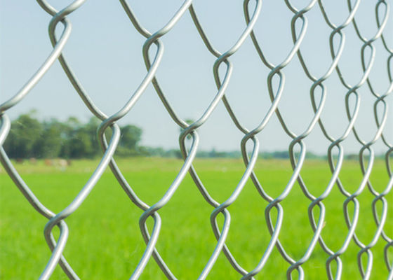 Galvanized Square Chain Link Fencing Mesh 0.5m-4m Free Samples Available