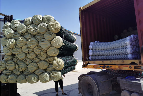 50x50mm Mesh Opening Hot Dipped Galvanized Chain Link Fence Rolls  For Farm Enclosures