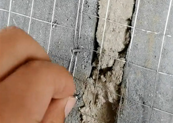 Hot Dipped Galvanized Iron Wire Mesh 1/2 Inch Welded Wire Mesh Fence Roll