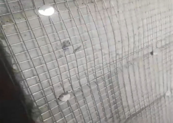 Building Welded Wire Mesh for Mining Industry- Even Mesh Count-