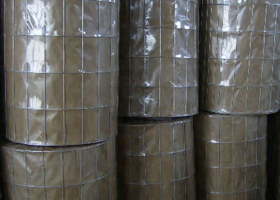 Galvanized Wire Mesh Welded Fence Roll 1/2 Inch Square Length 30m-50m BWG12 BWG27 Wire Gauge