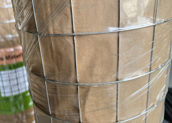 3'' X 1/2" Square Hole Stainless Steel Welded Wire Mesh 3mm Dia With Bending Cutting Services