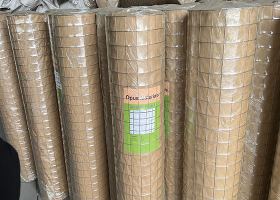 Hot Dipped Galvanized Welded Wire Mesh 10-30m Length Per Roll For Farm Fence