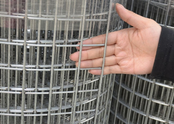 Galvanized Welded Wire Mesh For Garden Fence Rust Resistant Fencing with Zinc Coating