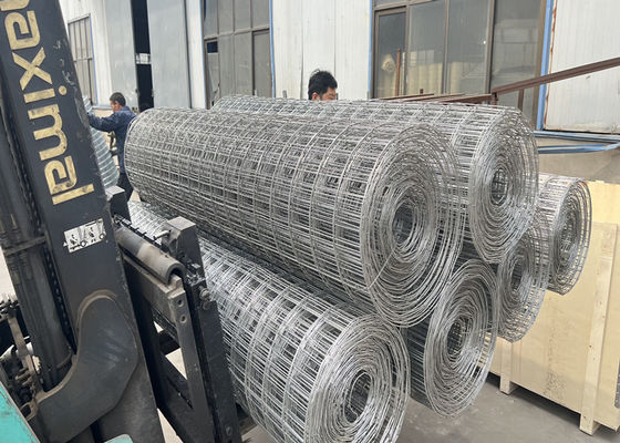 Welded Galvanized Steel Rabbit Chicken Cage For Poultry Fence Wire Mesh Roll Supports