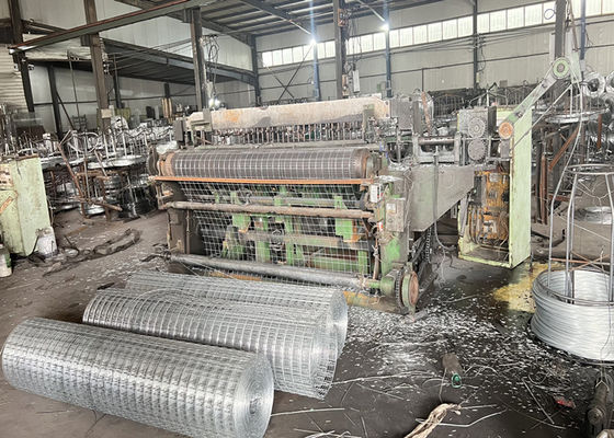 Hot Dipped Galvanized Welded Wire Mesh Roll 3mm Long Hole Shape