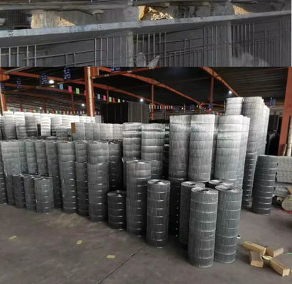 Hot Dipped Rectangular Welded Wire Mesh For Rabbit Proofing Agriculture Farm Fencing