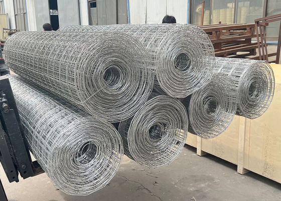 2 X 4 Galvanized Wire Mesh Heavy Duty And Durable For 1'' Mesh Size 8 Gauge Welded Wire Mesh