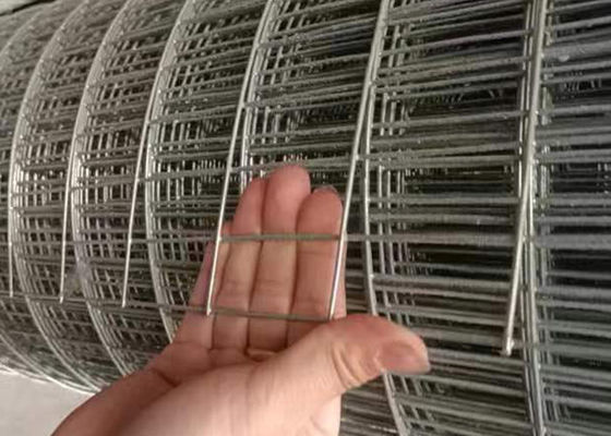 Hole shape Square Hole Hot Dipped Galvanized Welded Wire Mesh with Zinc Coating 120g/m2