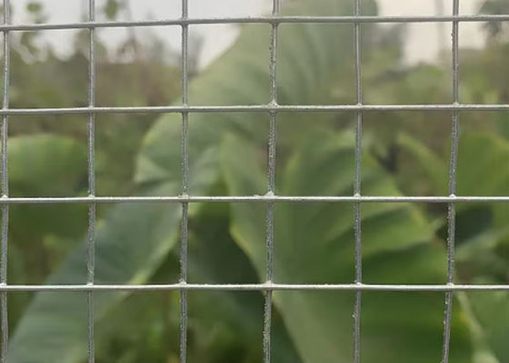10 Gauge Galvanized Welded Wire Mesh Pr For Long Lasting Reinforcement