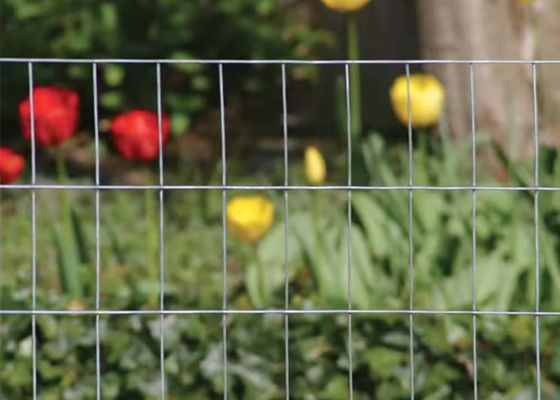 1/2 X 1/2 1/4 Inch Galvanized Welded Wire Mesh Fence Zinc Coating Electro Galvanized 10-15g/m2 Low Carbon Steel Wire Q195