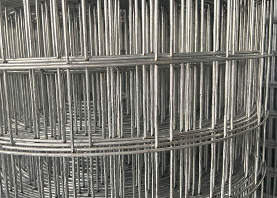2'' Hot Dipped Galvanised Welded Wire Mesh With 120g/M2 Zinc Coating