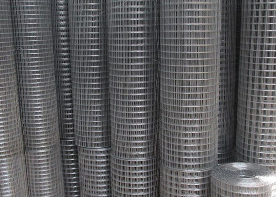 Low Carbon Steel Wire Galvanized Welded Mesh Wire Animal Fence Or Netting Rolls With 5/8'' Mesh Size