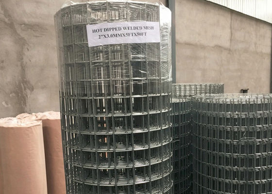 Hot Dipped Galvanized 1/4"*1/4" 6"*8" Welded Wire Mesh For Square Cutting Garden Fence Bending Punching Length 30m 50m