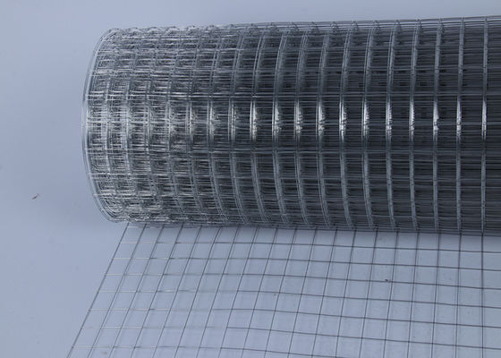 1/2"x1/2" 304 Stainless Steel Welded Cage Wire Poultry Netting Welded Wire Mesh for Animal Fencing
