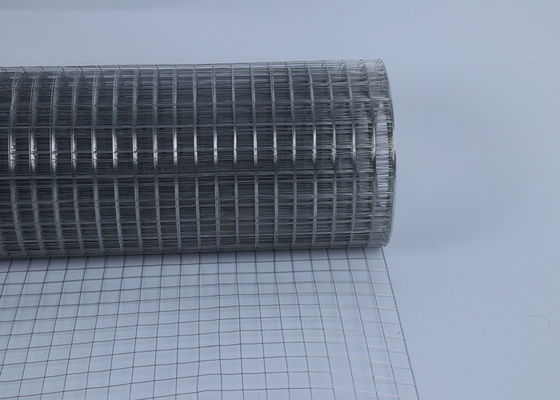 1/2" 304 Stainless Steels Welded Wire Mesh for Constructioaising Chicken Duck Geese Rabbit Cage