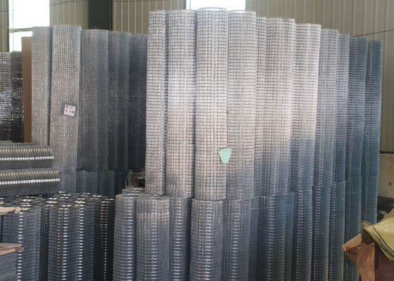 Hot Dipped Galvanized Welded Wire Mesh Roll or Piece for Chicken Farm Fencing Length 30m 50m
