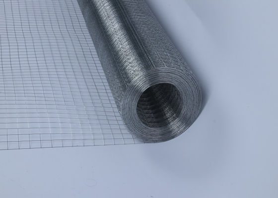 1/2" 304 Stainless Steels Welded Wire Mesh for Constructioaising Chicken Duck Geese Rabbit Cage