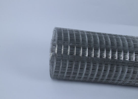Durable 201/SS304/SS316 Welded Wire Mesh Stainless Steel Cage Poultry Net 1''x 1'' 1''x1/2