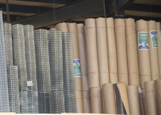 1"x1" Hot Dipped Galvanized Welded Wire Mesh  Bird Cage Cheap Electro  Fence Netting