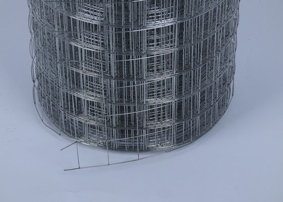 Smooth Surface Silver Electro Galvanized Welded Wire Mesh Rolls 10-15g Zinc Coating