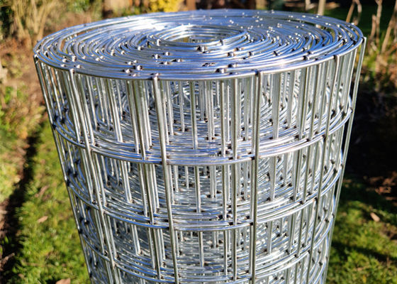 Galvanized Welded Wire Mesh 3/4 Inch Hardware Cloth For Aquaculture