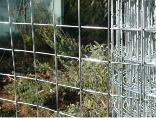 Low Carbon Steel Zinc Coating Galvanised Welded Wire Mesh Roll For Benefit