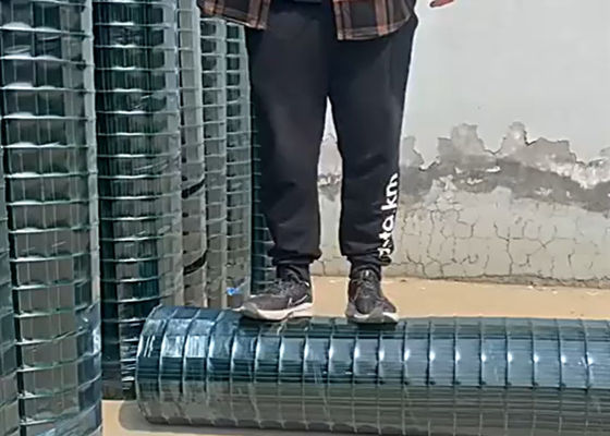 Custom PVC Plastic Coated Welded Wire Mesh For Fence Electro Galvanized