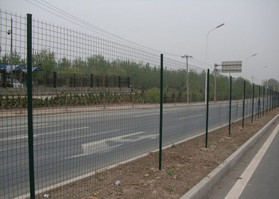 Customizable Green PVC Coated Welded Wire Mesh Rolls Low Carbon Steel Q195 Free Samples