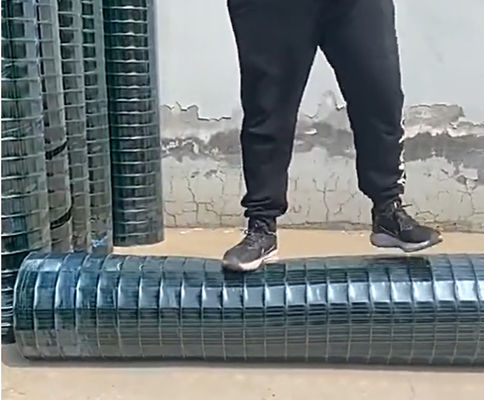 Customized PVC Coated Wire Mesh Fencing For Transportation 18 gauge / 22 gauge