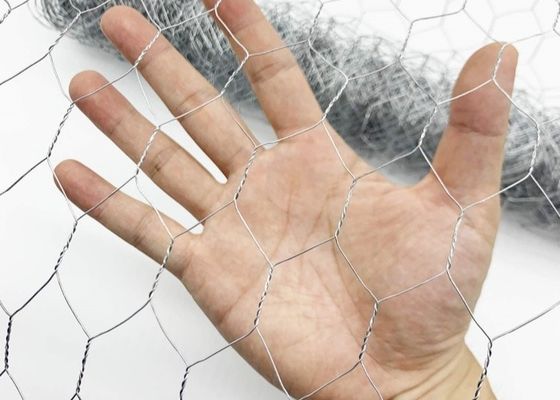 Galvanized Hexagonal Wire Mesh For Chicken Wire Mesh