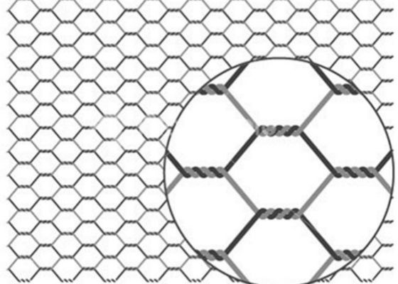 Galvanized PVC Coated Chicken Wire Mesh 20g/m2-60g/m2 Zinc Coated Rust Resistant