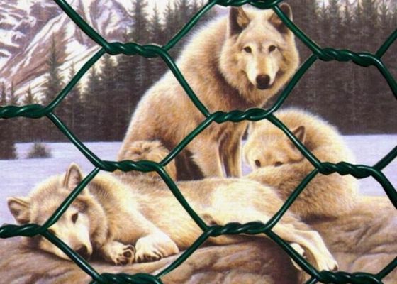 Rust Resistant Zinc Coated Hexagonal Wire Mesh Easy Install Hex Wire Netting Shrink Film Pack