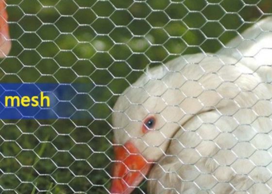 0.4mm-1.5mm Diameter Hexagon Wire Mesh Galvanized Iron