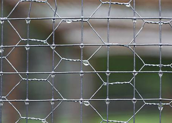 Customizable Silver Pvc Coated Hexagonal Wire Mesh Zinc Coated 20-60g/m2 for Various Applications