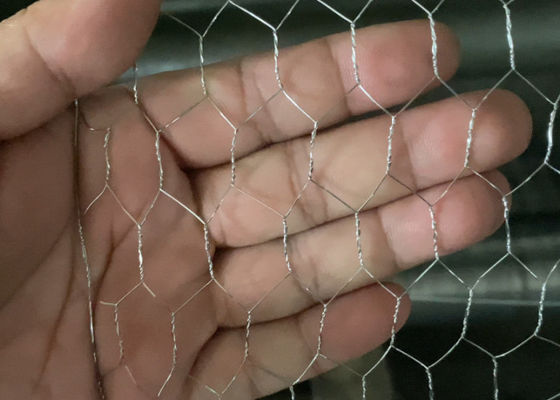 Galvanized Chicken Coop Hexagonal Wire Mesh Free Sample Garden Protection