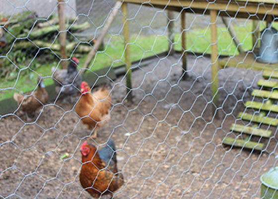 Customizable Width Woven Hexagonal Wire Mesh Highly Resistant To Corrosion