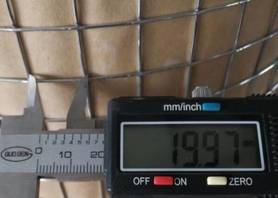 Steel Wire Mesh Rolls 0.5-10.0mm Diameter 1/4 Inch Welded Wire Mesh  For Secure Fencing Solution