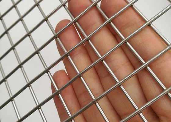 1/2 inch Welded Wire Mesh / Square Mesh 201 / SS304 / SS316