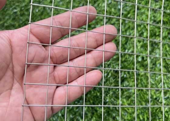 Corrosion Resistance SS Welded 1/2 1/4 Inch 1Inch Bird Cage Wire Mesh